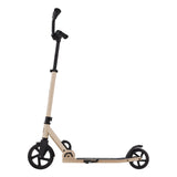 Globber Flow Rider 2 wheel foldable scooter