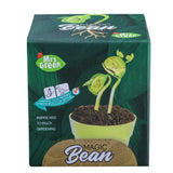 Mrs Greens | Magic Beans - Toybox Tales