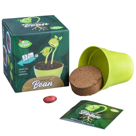 Mrs Greens | Magic Beans - Toybox Tales
