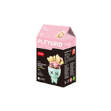 Sluban | Flowers | Potted Plants Succulent (Assorted)