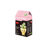 Sluban | Flowers | Potted Plants Succulent (Assorted)
