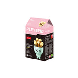 Sluban | Flowers | Potted Plants Succulent (Assorted)