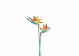 Sluban | Flowers | Strelitzia Reginae (Bird of Paradise) 148pcs