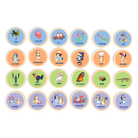 Full set of illustrated wooden charades picture discs
