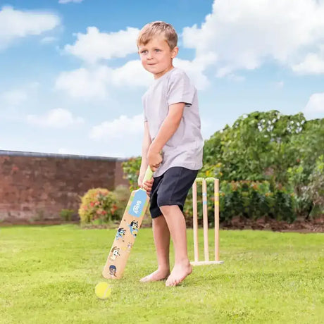 Bluey Cricket Set - Toybox Tales