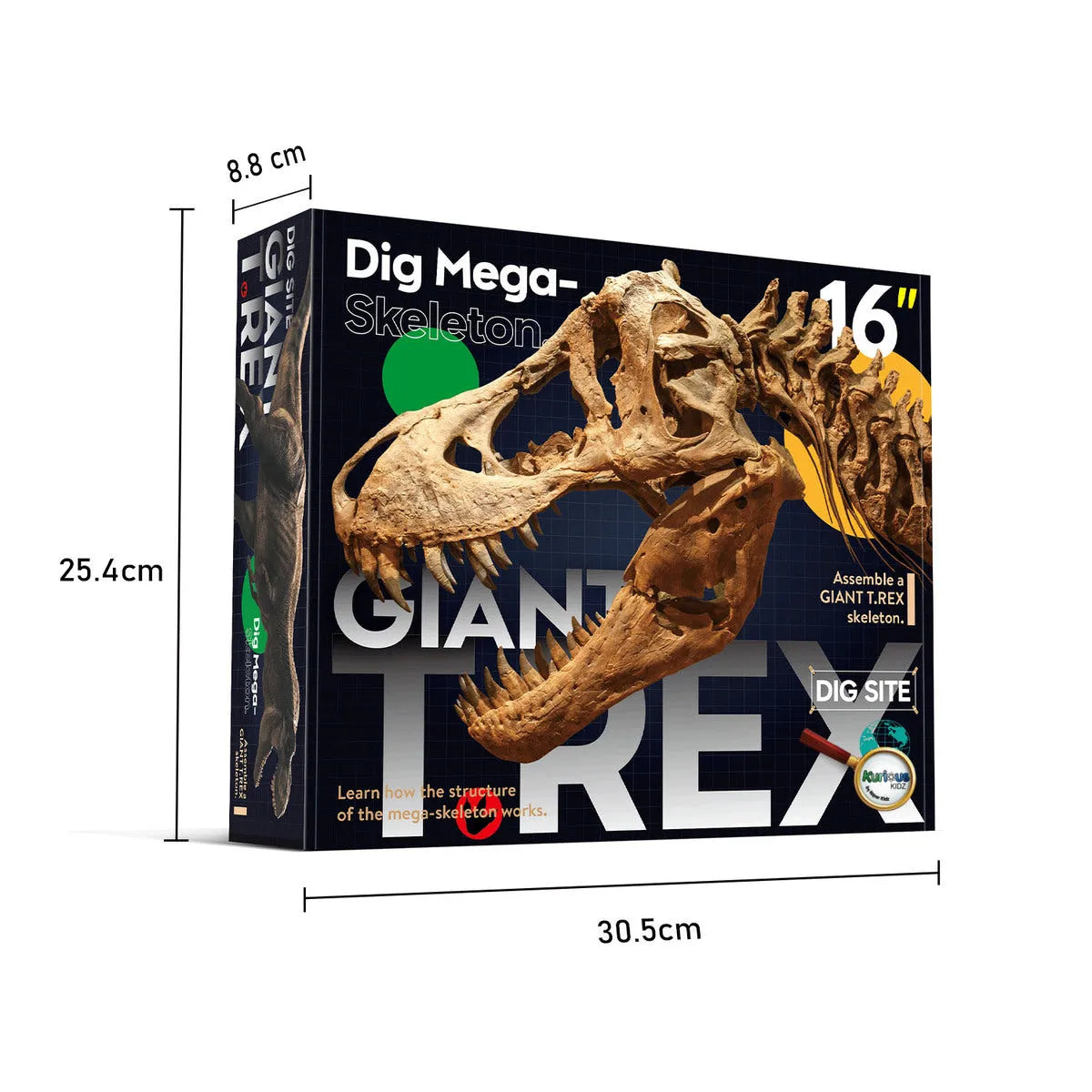 Giant T-Rex Dig Site