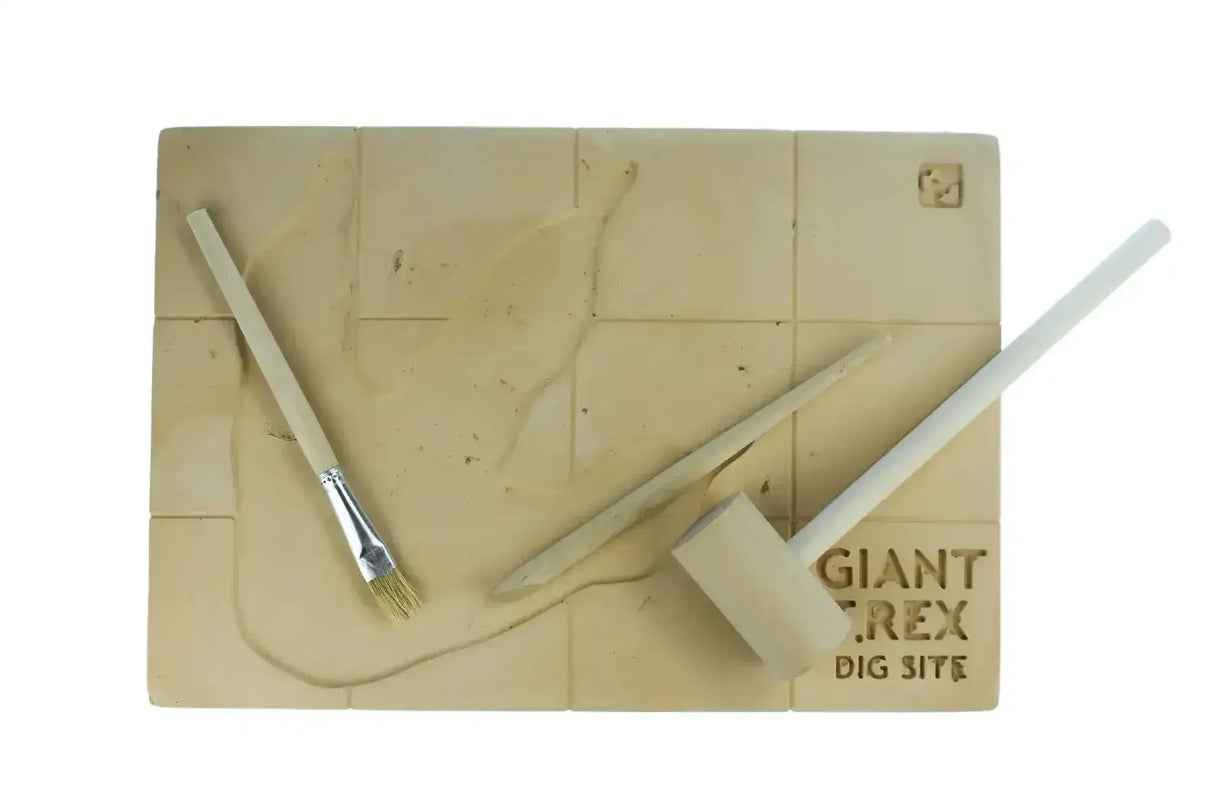 Giant T-Rex Dig Site - Toybox Tales