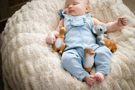 My First Australian Animal - Toybox Tales