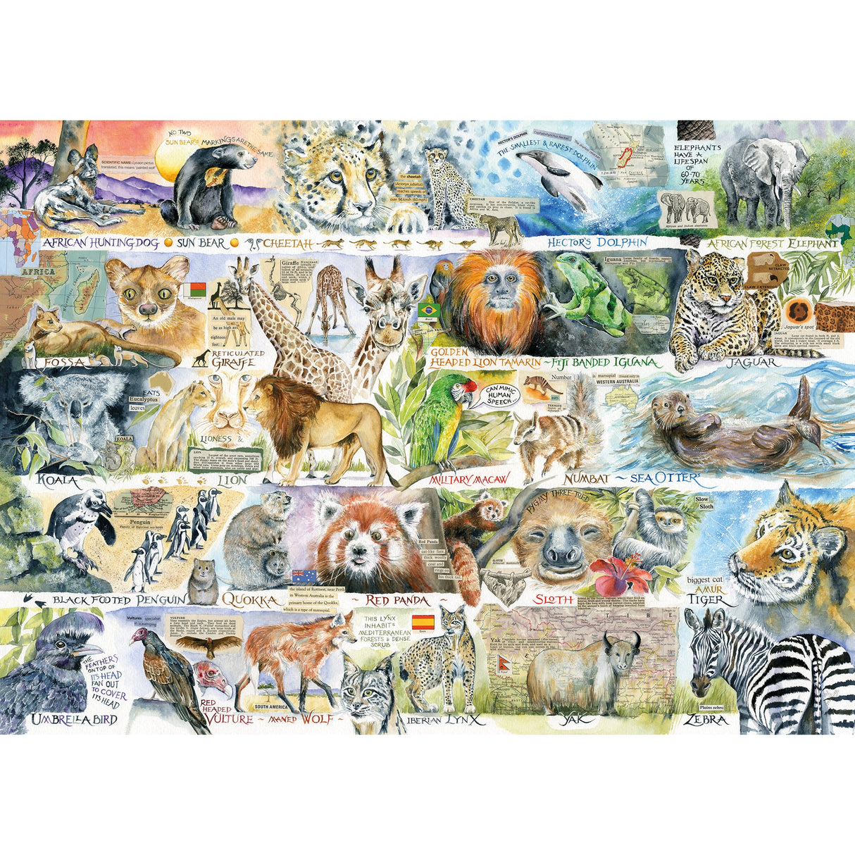 Sun Bears and Sloths puzzle artwork by Val Goldfinch
