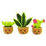 Pocket Crochet Crafts | Plants
