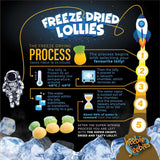 Heebie Jeebies | Freeze Dried Pineapple Lollies | Large