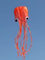 Single Line Kite | Octopus