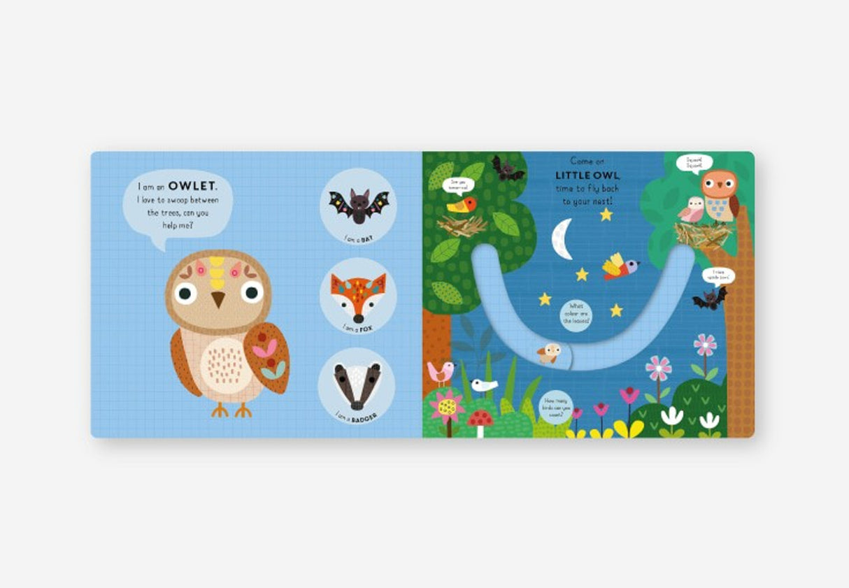 Little Journeys Book | Little Bear