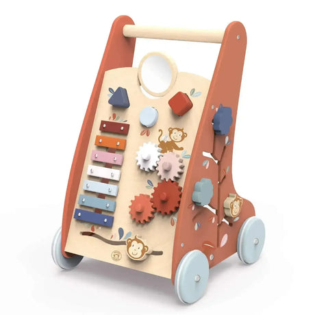Multi Activity Push Toy - Activity Walker - Toybox Tales