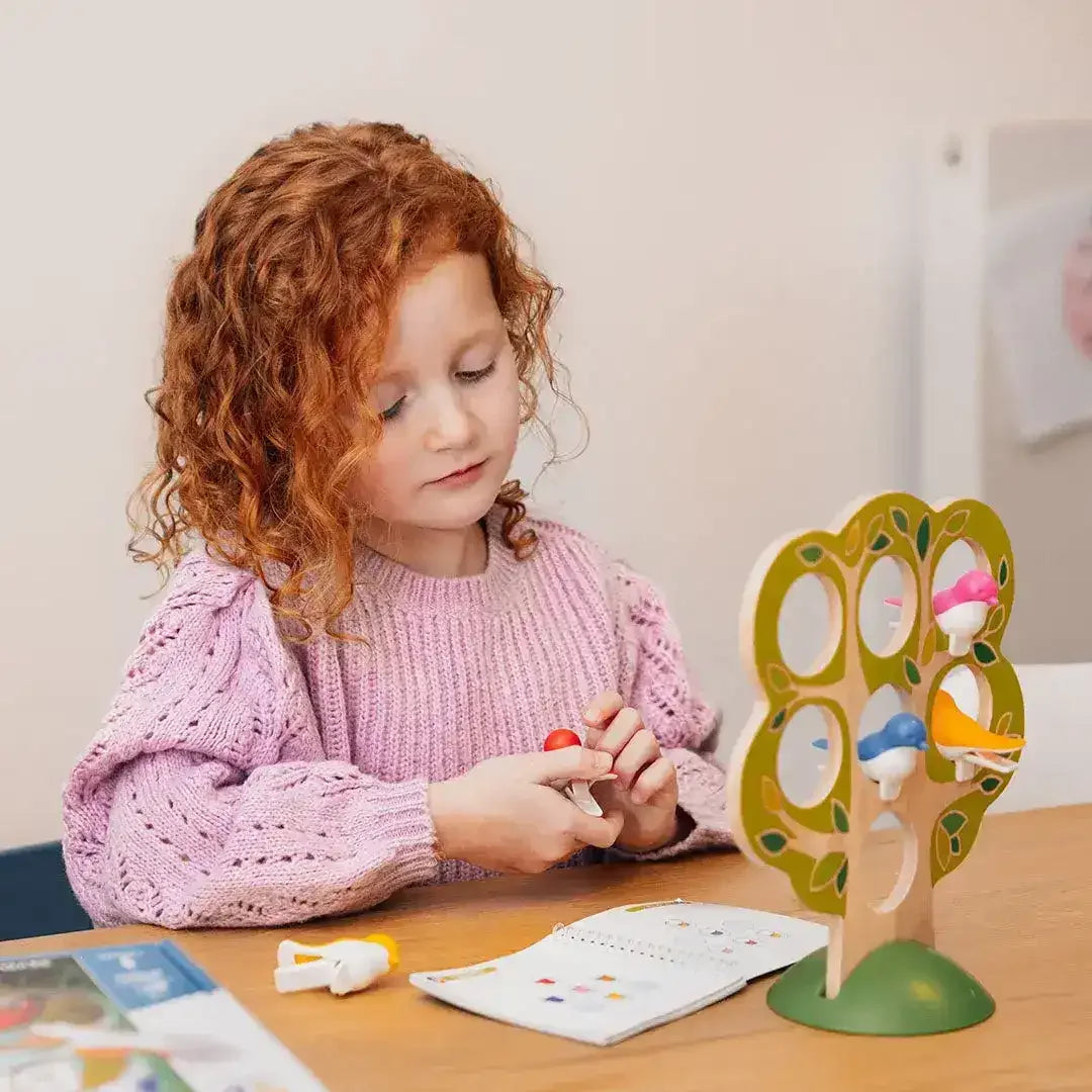 Smart Games | 5 Little Birds - Toybox Tales