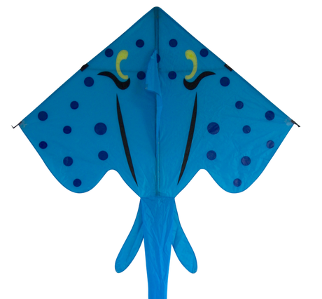 Blue Stingray single line kite
