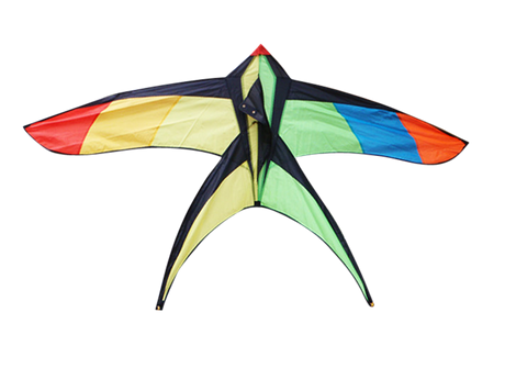 Swallowtail single line kite