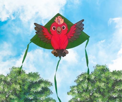Single Line Kite | Galah
