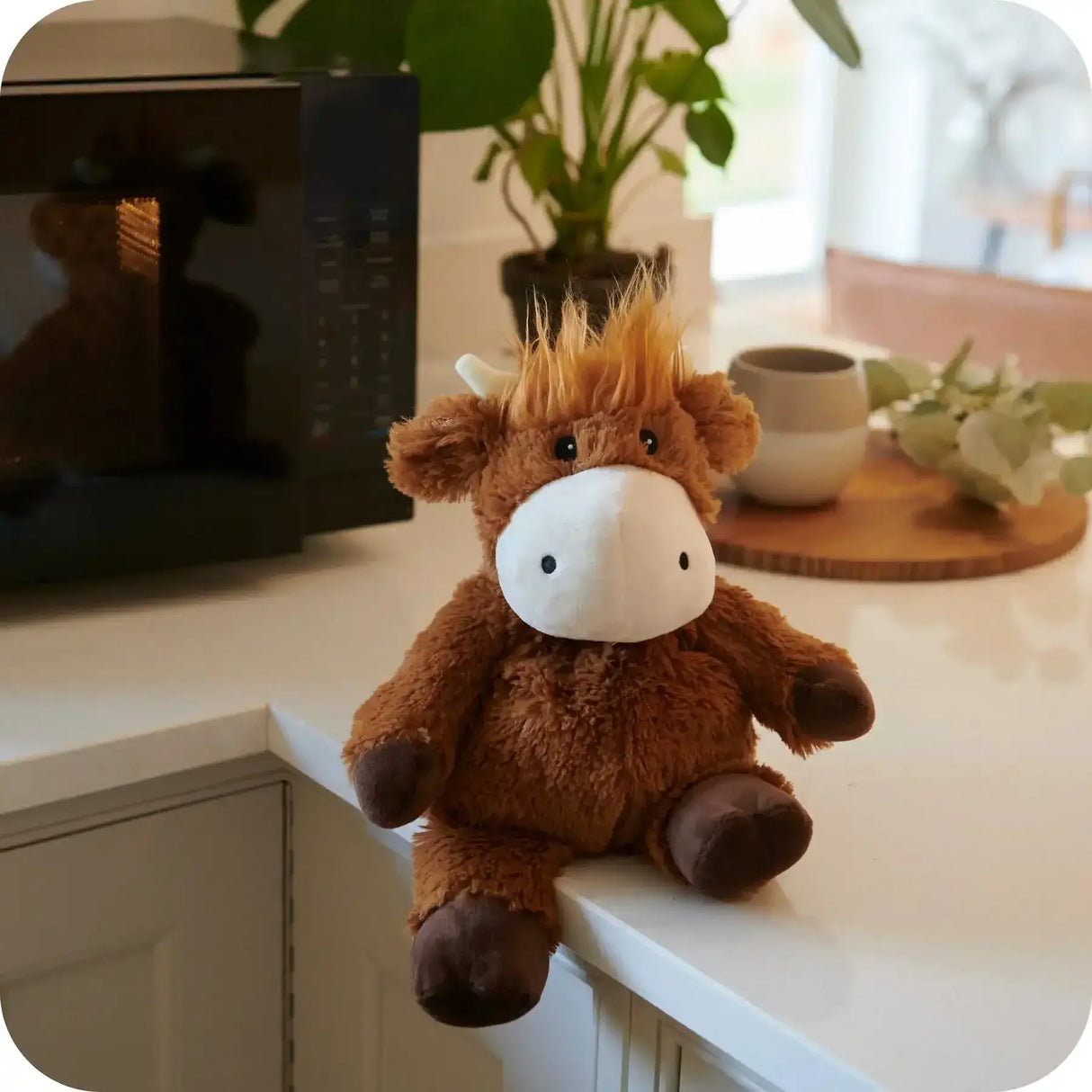 Warmies | Highland Cow