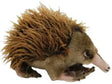 Echidna Ganyi - Toybox Tales