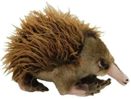 Echidna Ganyi - Toybox Tales