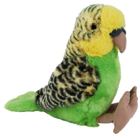 Budgerigar with Sound