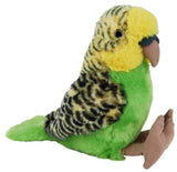 Budgerigar with Sound