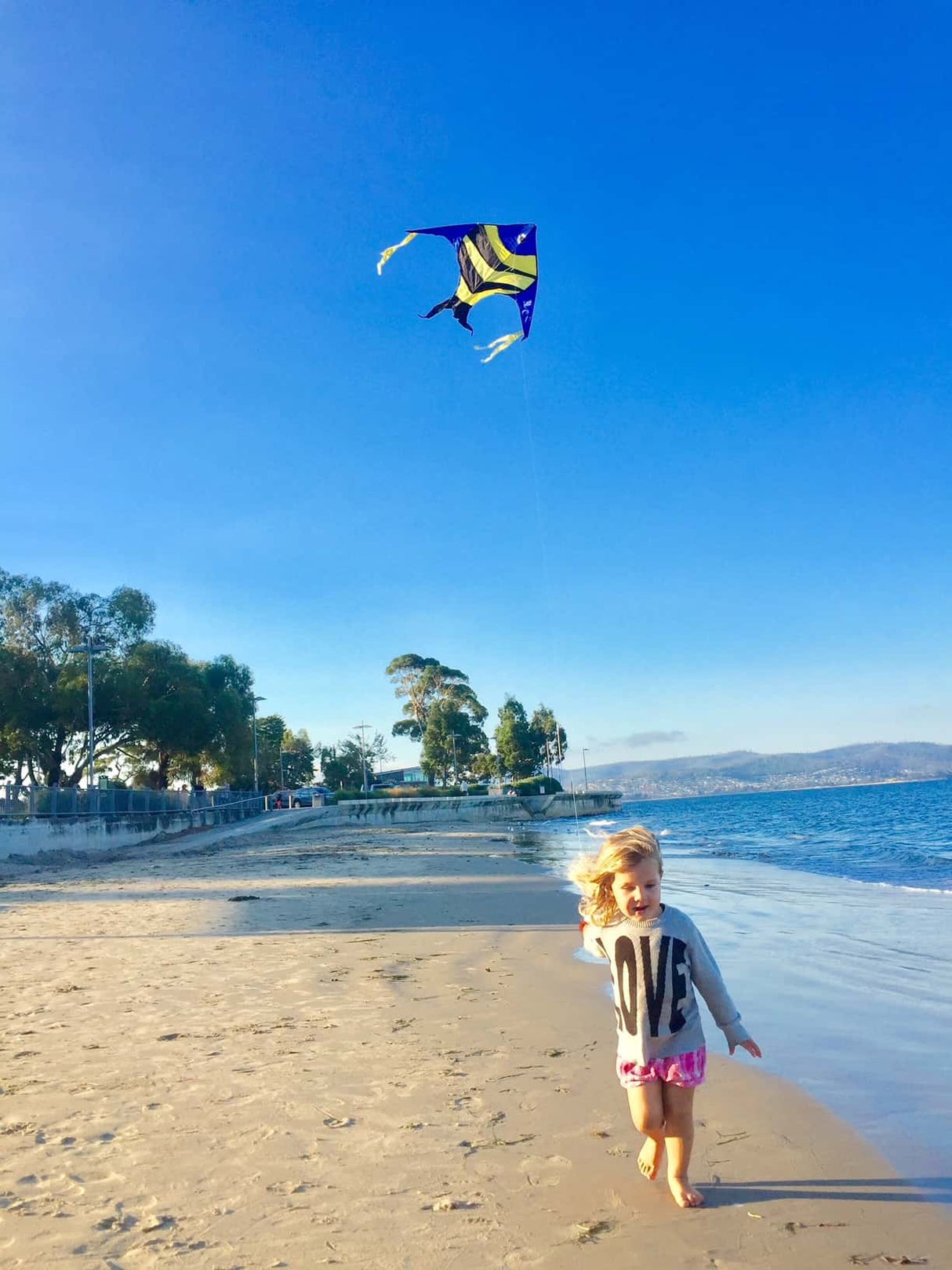 Reef Fish kite flying on the beach