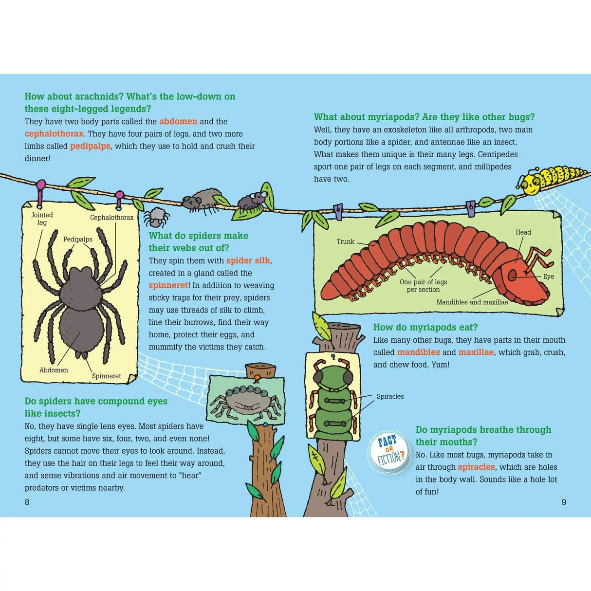100 Questions About Bugs - Toybox Tales