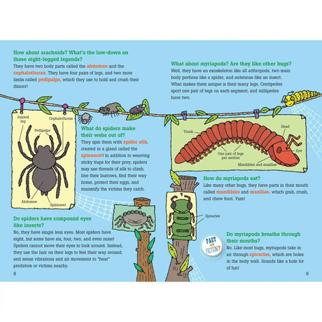100 Questions About Bugs - Toybox Tales