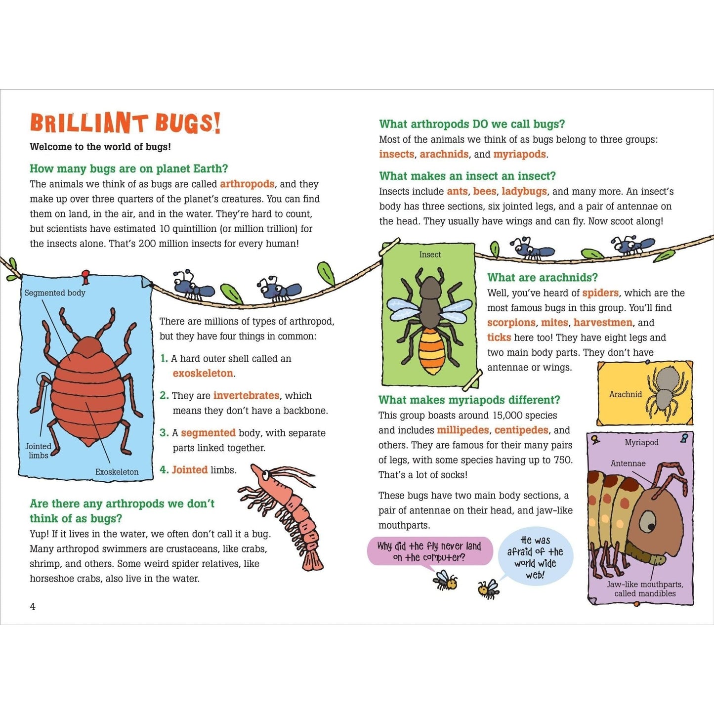 100 Questions About Bugs - Toybox Tales