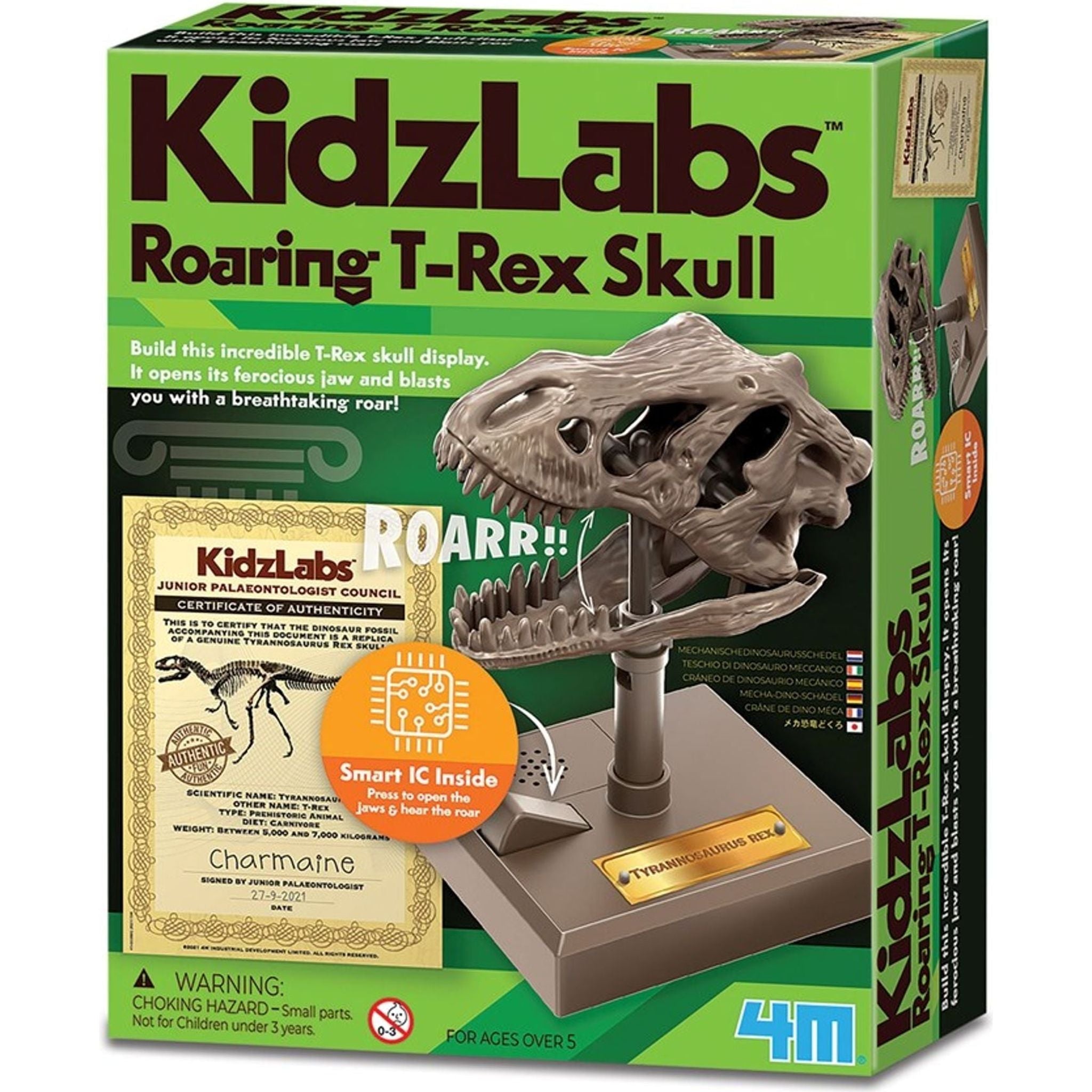 4M Roaring T-Rex Skull - Toybox Tales