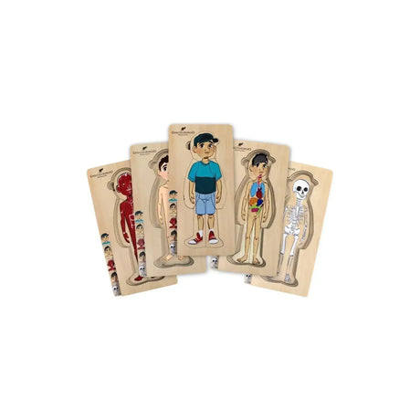 5 Layer Body Puzzle - Boy - Toybox Tales