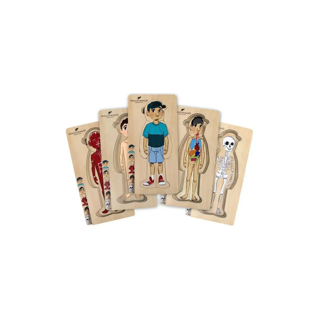 5 Layer Body Puzzle - Boy - Toybox Tales