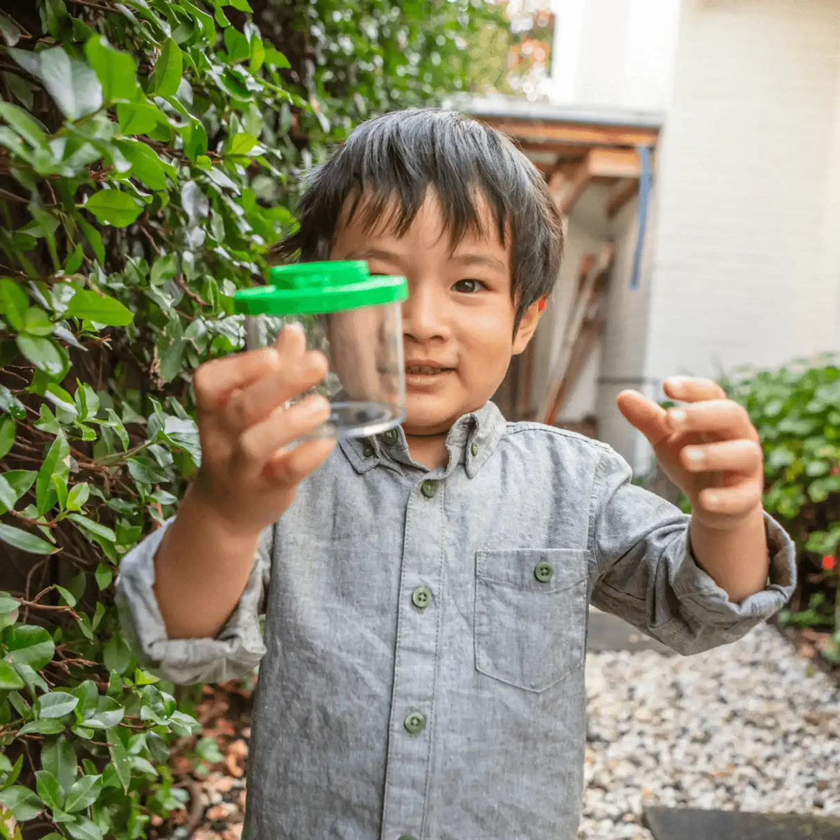 Bug Spotter Kit - Toybox Tales