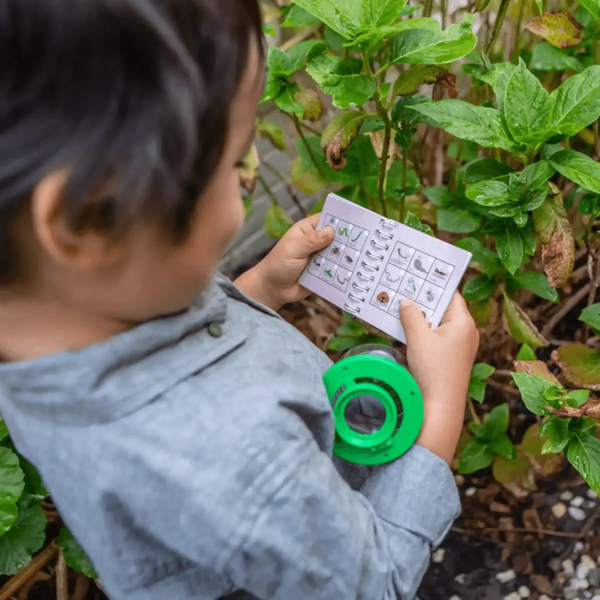 Bug Spotter Kit - Toybox Tales