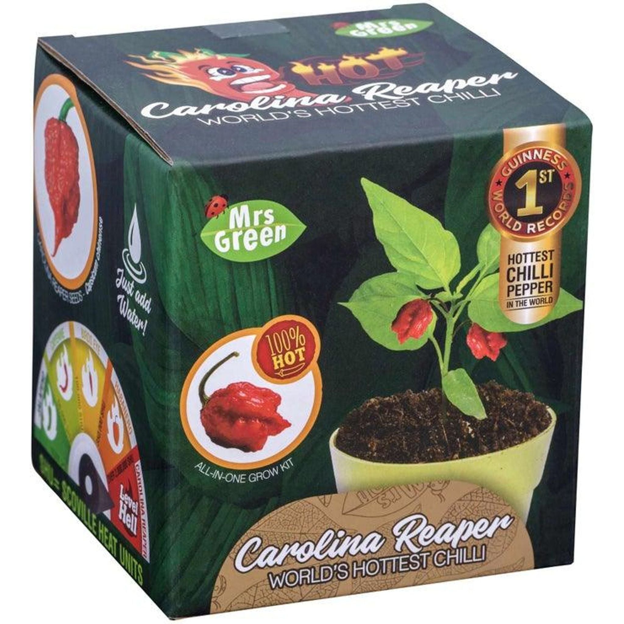 Carolina Reaper Chilli Growing Kit: The World's Hottest Chilli - Toybox Tales