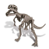 Dig a Dinosaur T-Rex - Toybox Tales