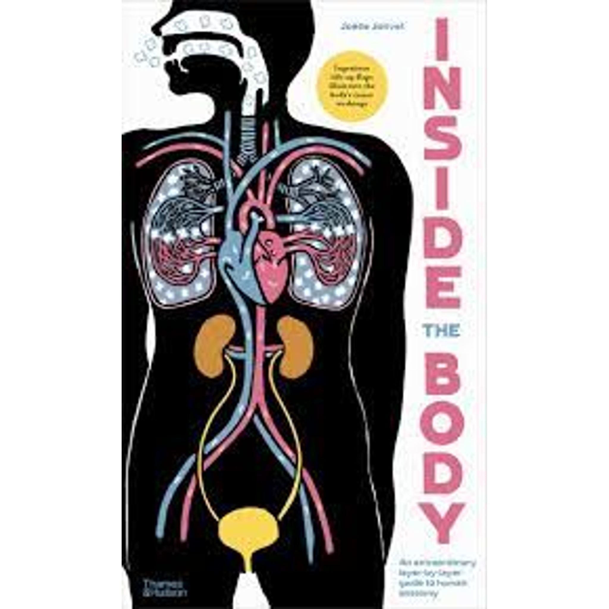 Inside The Body: An Extraordinary layer by layer guide to the human anatomy - Toybox Tales