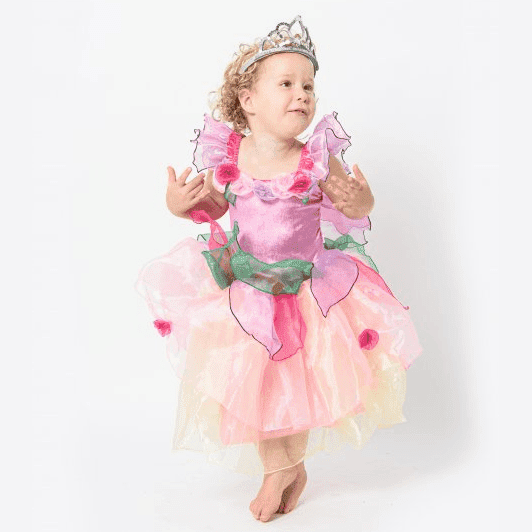 Paris Daisy Fairy Dress - Toybox Tales