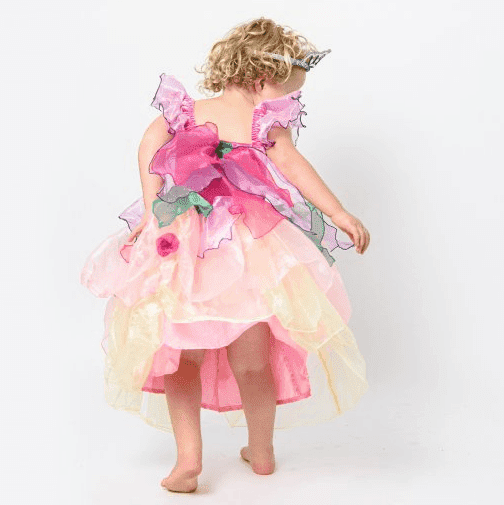 Paris Daisy Fairy Dress - Toybox Tales