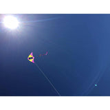 Single Line Kite: Electric - Toybox Tales