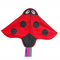 Kites