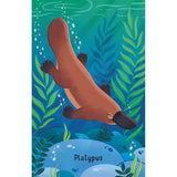 Snap - Australian Animals - Toybox Tales