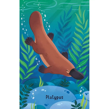 Snap - Australian Animals - Toybox Tales