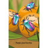 Snap - Bugs - Toybox Tales