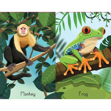 Snap - Jungle - Toybox Tales