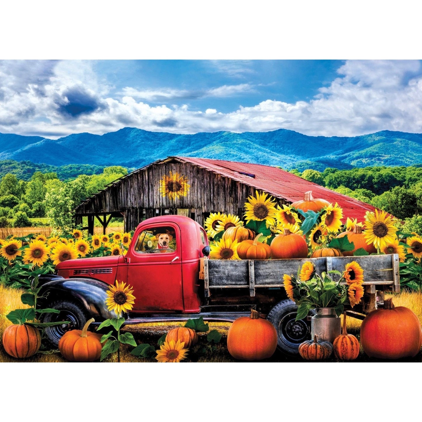 Sunflower Farm 1000 Piece Puzzle - Toybox Tales