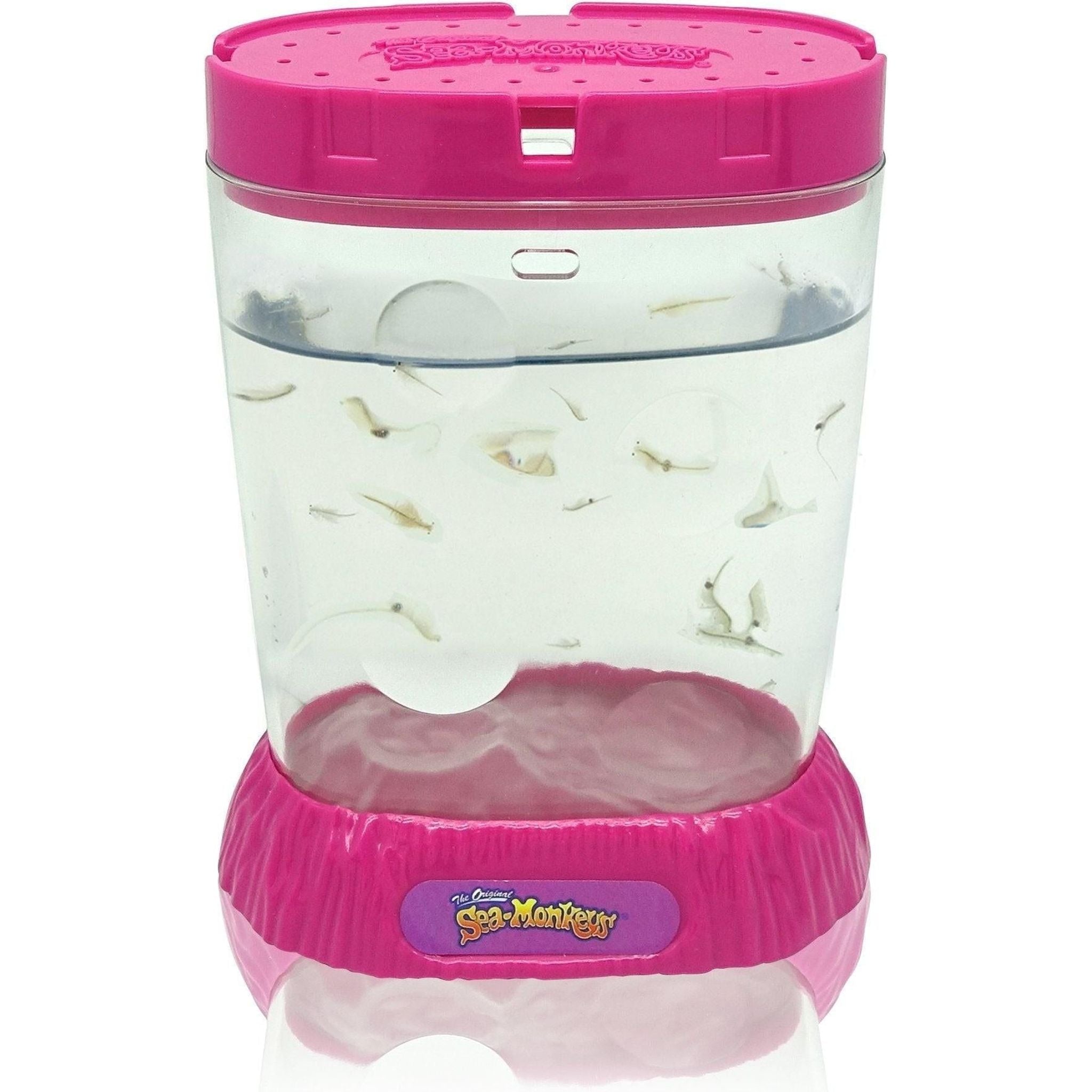 The Original Sea Monkeys Ocean Zoo - Toybox Tales