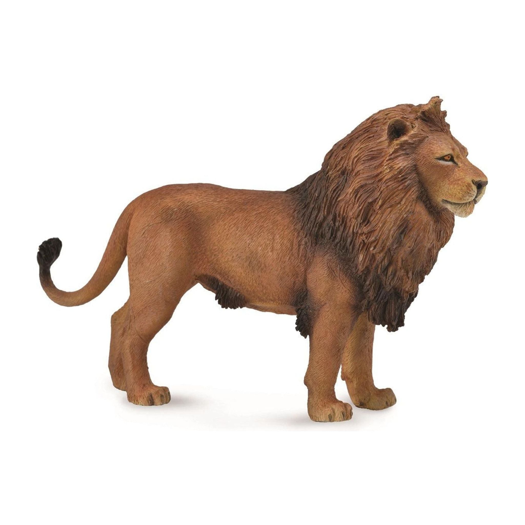 CollectA | African Lion (L) - Toybox Tales